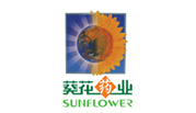 一次性医用外科口罩(图10)
