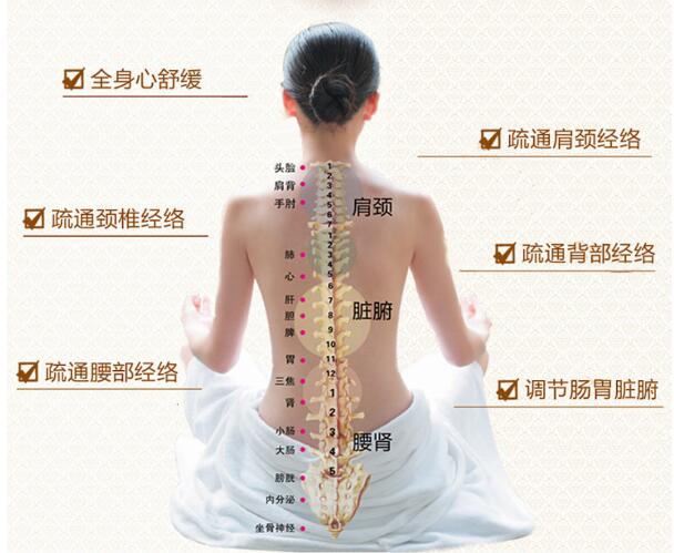 灸热泥（泥灸）代加工(图3)